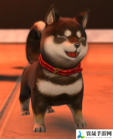 最终幻想14：水晶世界黑豆柴宠物获得方法：角色技能进阶与实战应用