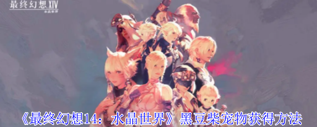 最终幻想14：水晶世界黑豆柴宠物获得方法：角色技能进阶与实战应用