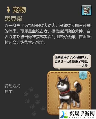 最终幻想14：水晶世界黑豆柴宠物获得方法：角色技能进阶与实战应用