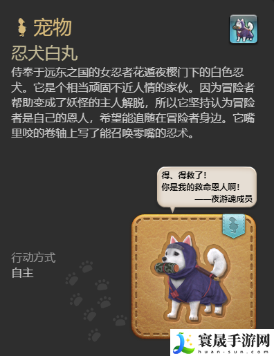 最终幻想14:水晶世界忍犬白丸宠物获得方法:精通战斗技巧攻略