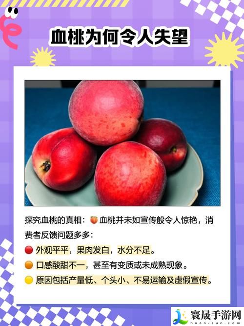 无人一区二区区别是什么红桃7