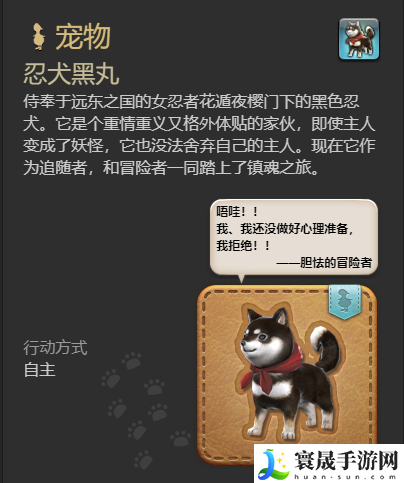 最终幻想14：水晶世界忍犬黑丸宠物获得方法：副本掉落装备方案