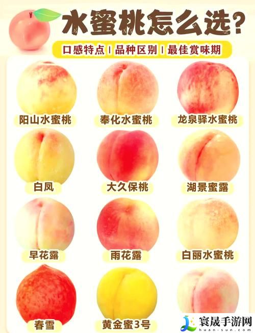蜜桃国精产品二三三区