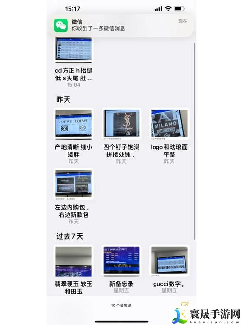 鉴定师免费看片视频软件