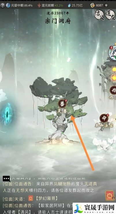 《一念逍遥》灵宠达到珍品方法