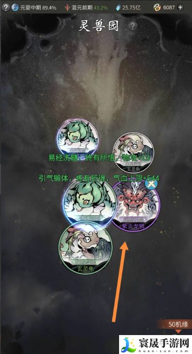 《一念逍遥》灵宠达到珍品方法