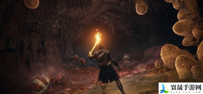 艾尔登法环失色锻造石1在哪刷-失色锻造石刷取位置大全