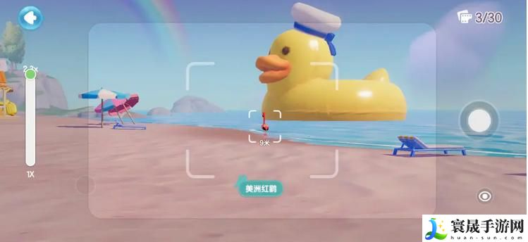 《心动小镇》鸟类观察图鉴大全