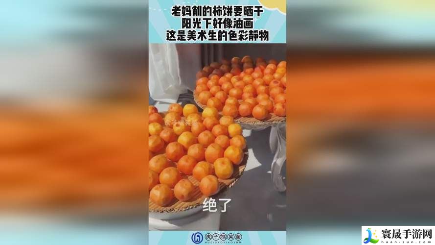 400多个成品视频