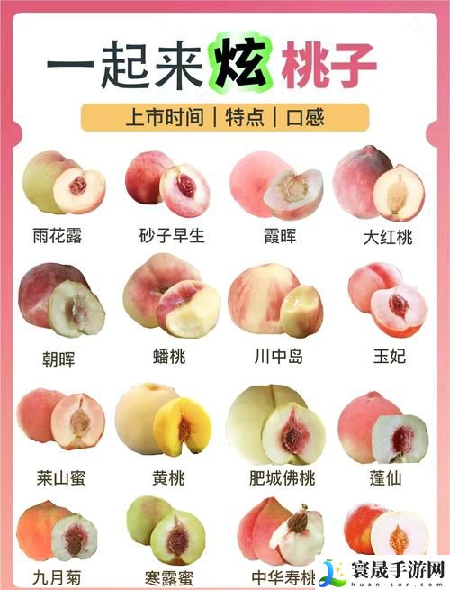 美丽的桃子2意大利语来源