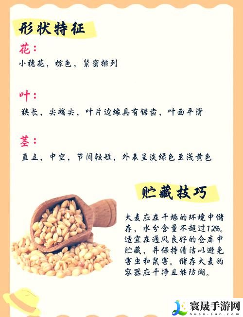 麦子互换背后的意义