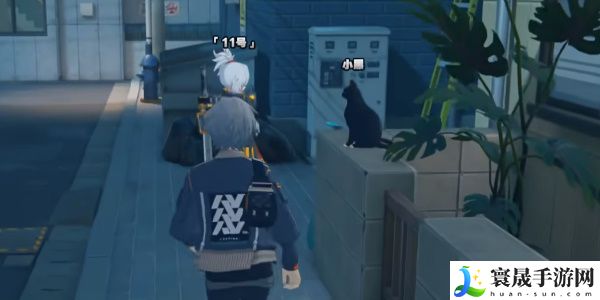 《绝区零》领养小黑猫方法