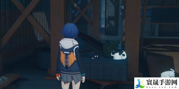 《绝区零》领养小黑猫方法
