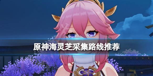 原神海灵芝在哪里采集-海灵芝采集地点分享