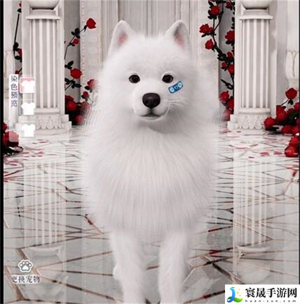 《以闪亮之名》限时萌宠时装礼包介绍