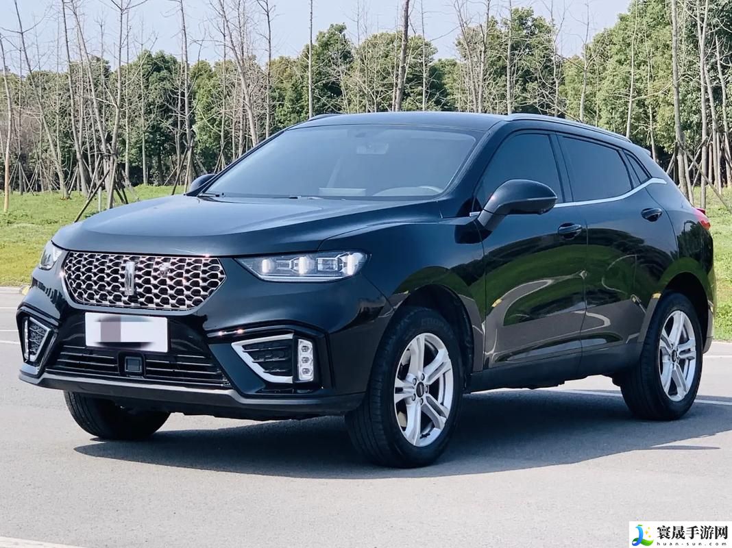 weyvv5国产的suv视频