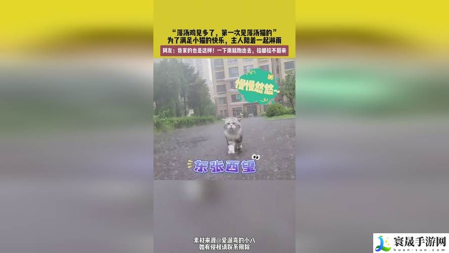 打扑克牌的剧烈运动视频不盖被子