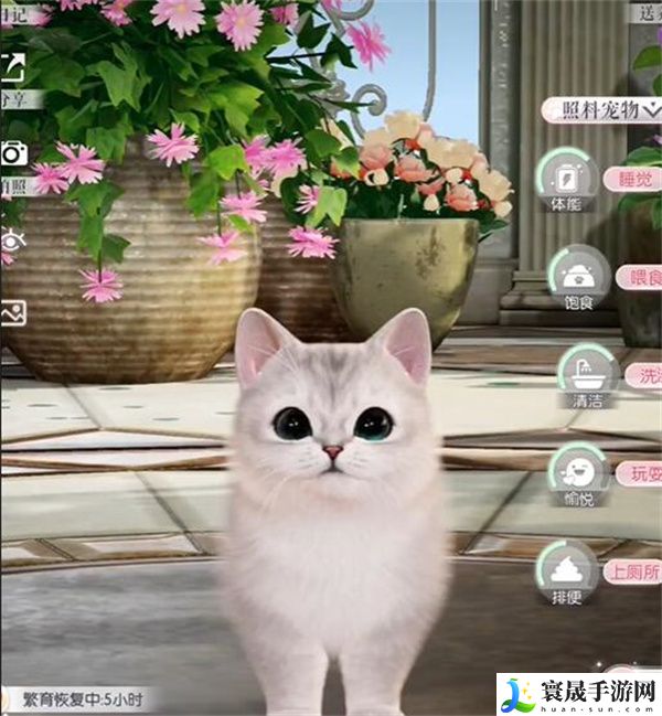 《以闪亮之名》限时萌宠时装礼包介绍
