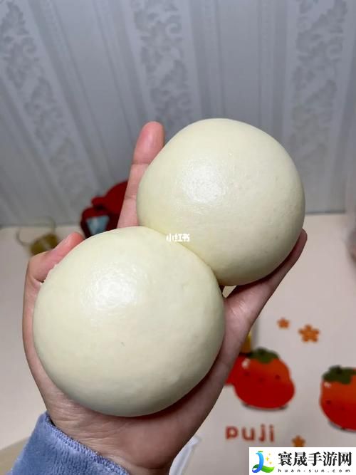 老师的两个大馒头叫什么