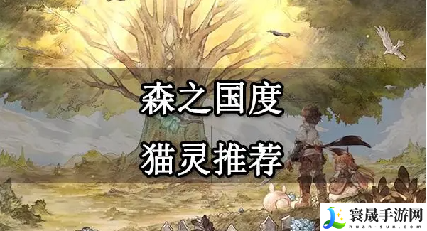 森之国度猫灵怎么玩-猫灵玩法攻略