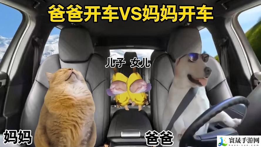 爸爸开车我抱着妈妈去姥姥家