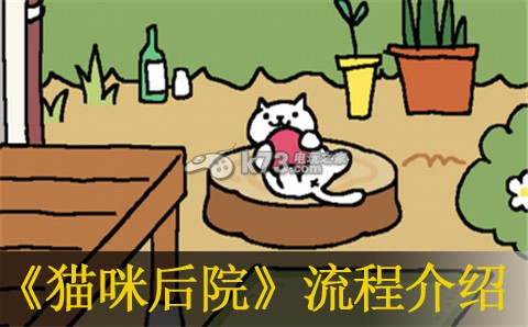 猫咪后院流程介绍 紧跟游戏更新