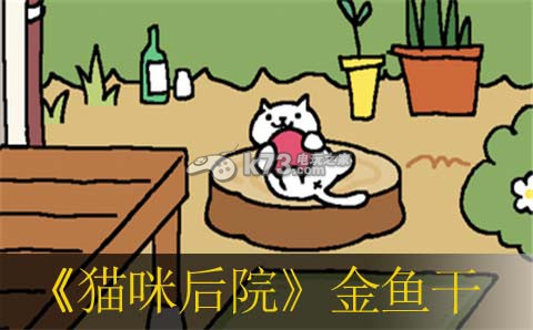 猫咪后院金鱼干收益对比分析 在游戏中注意节奏和节奏变化