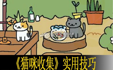 猫咪收集实用技巧分享 世界探险全全步骤