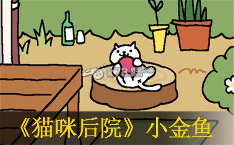猫咪后院小金鱼获得方法 副本开荒团队配合与分工