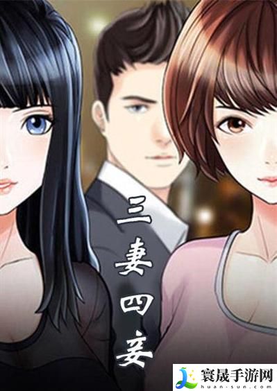 三妻四妾全集免费观看