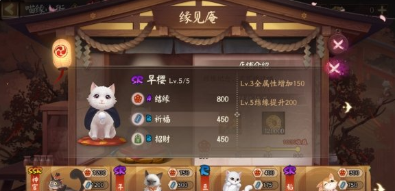阴阳师喵缘小街猫咪怎么选-喵缘小街满收益攻略分享