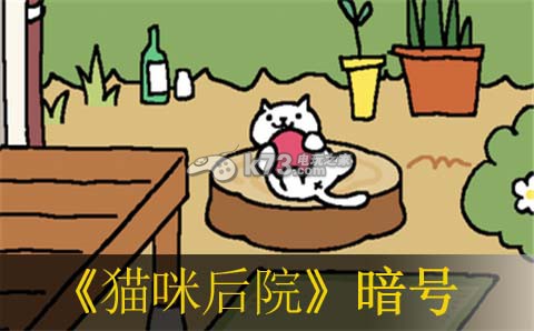 猫咪后院4月20日暗号介绍 稀有称号获取分析