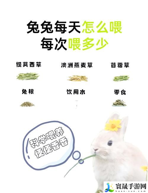 怎么喂老公吃小兔兔