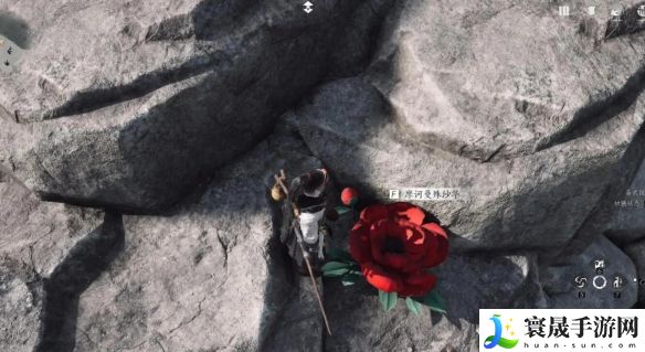 《燕云十六声》花中愿任务攻略