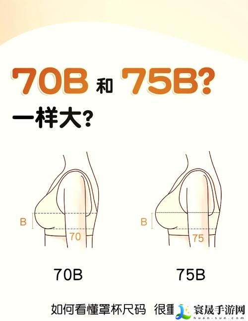 B大与小哪个好