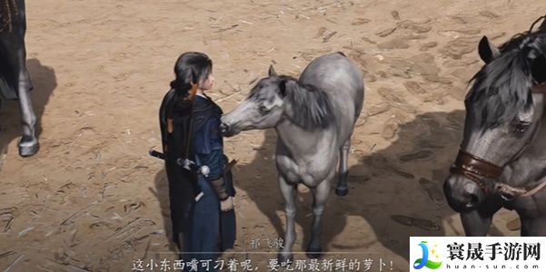 《燕云十六声》伏马庄祁氏家驯任务攻略