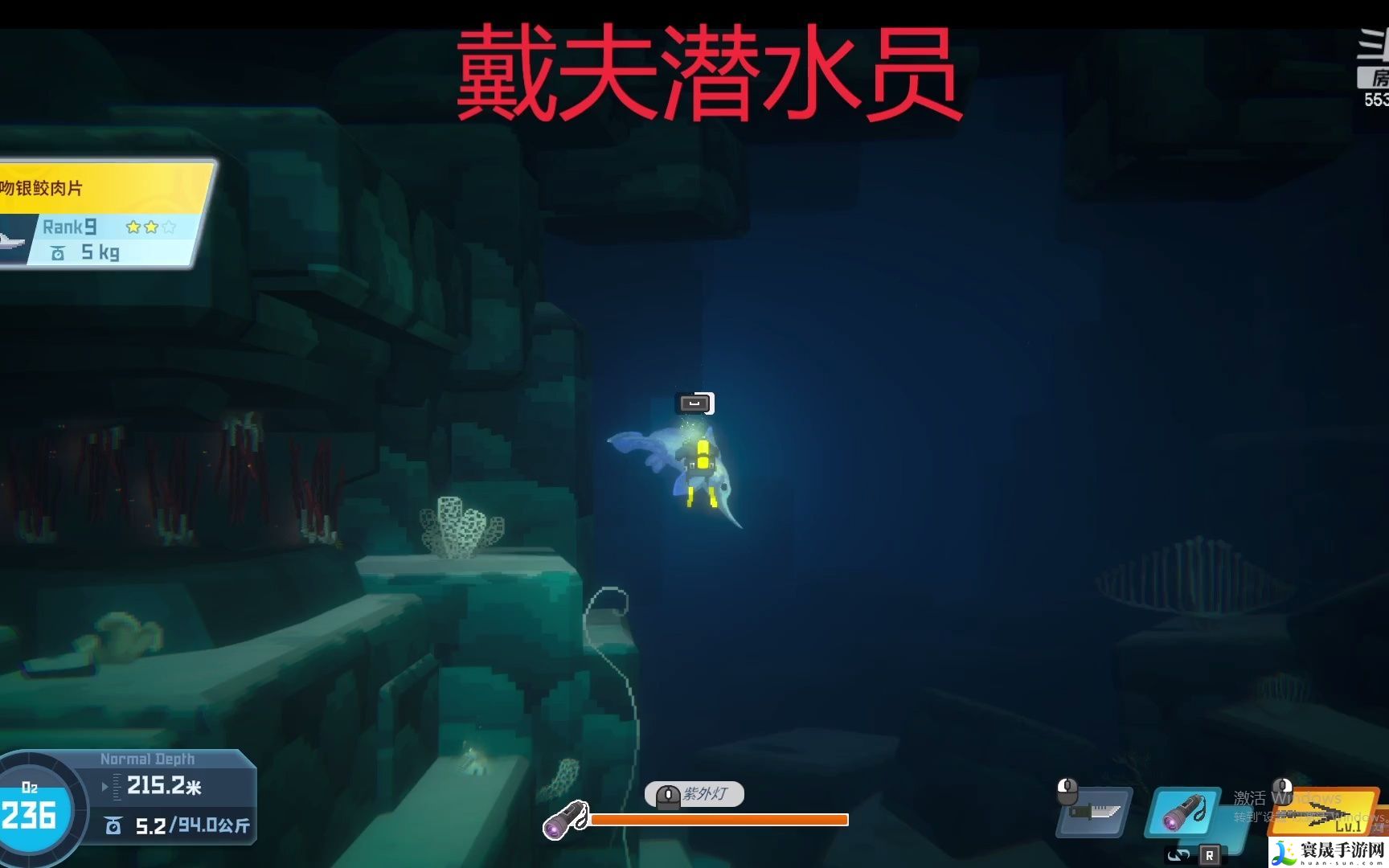 潜水员戴夫南露脊海豚怎么拍照-南露脊海豚拍照技巧