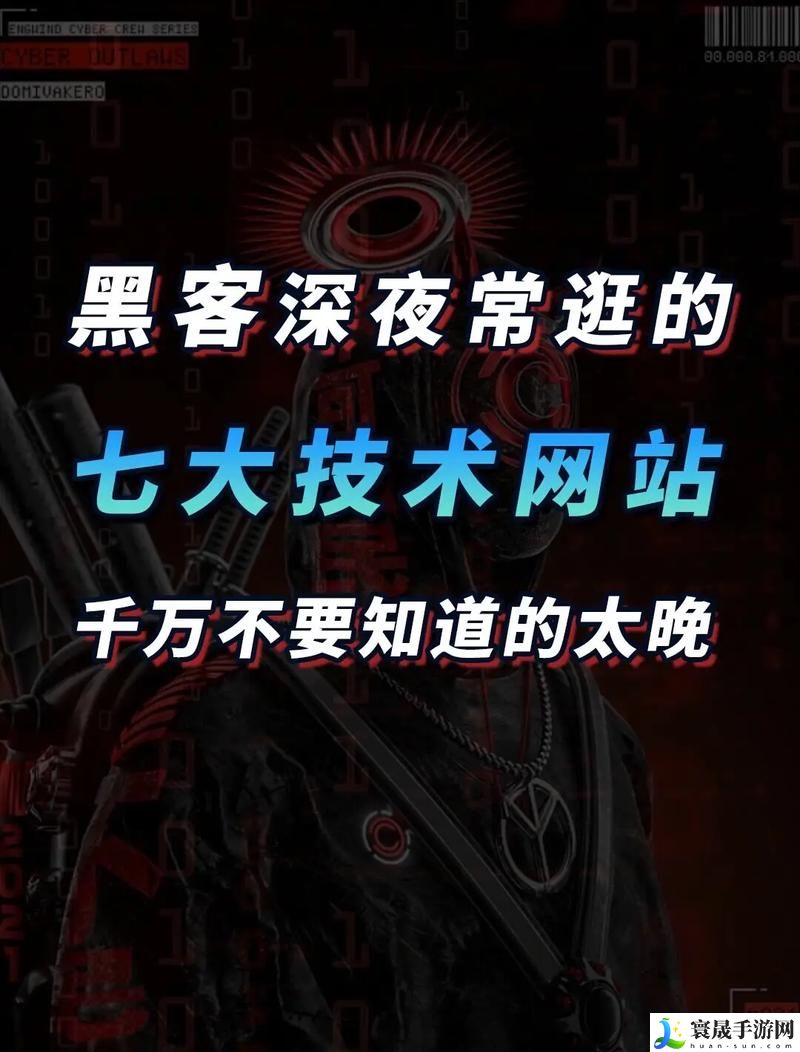 深夜网站的隐秘世界