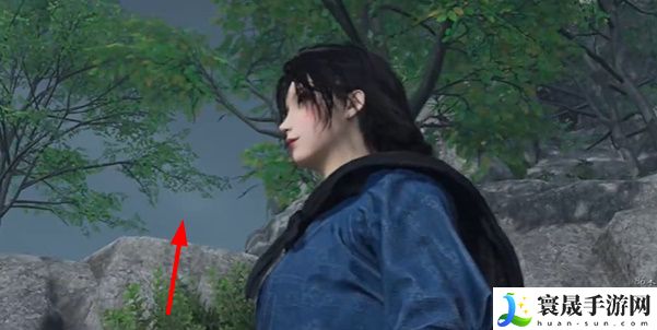 《燕云十六声》慈心镇不平事无间之地任务攻略