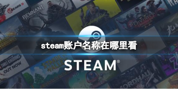 steam账户名称查看位置介绍：角色发展全技巧分析