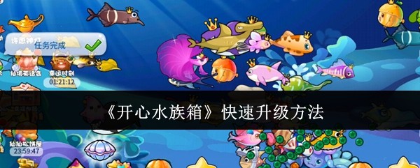 开心水族箱快速升级方法：破解难点技巧指南