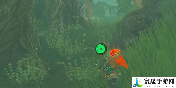 王国之泪世克恩波马拉神庙攻略 世克恩波马拉神庙图文通关解析