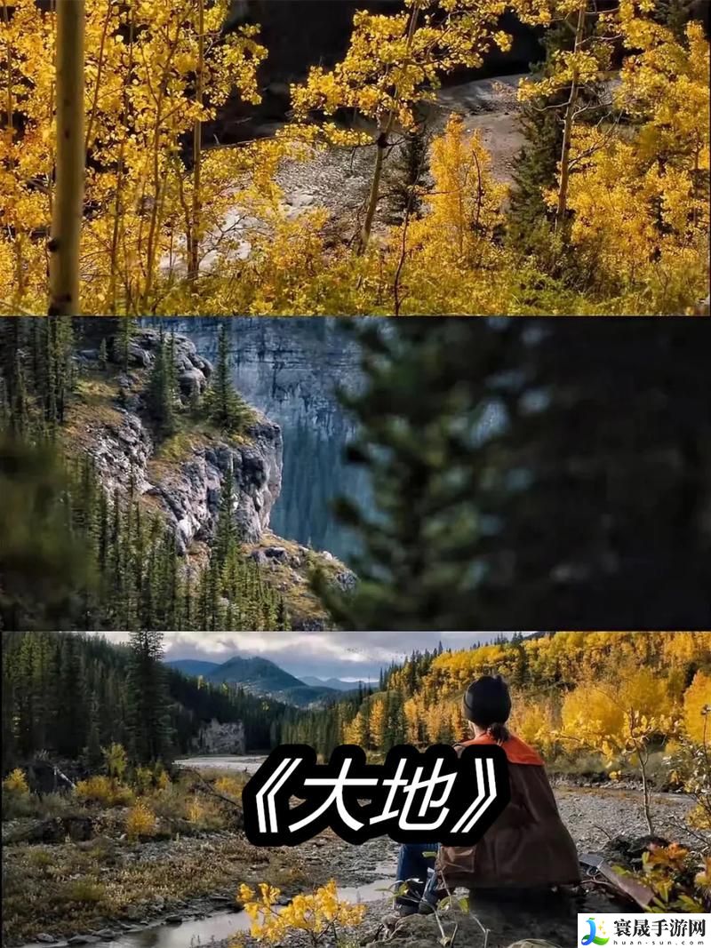 大地资源三在线观看8