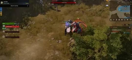 命运方舟神秘蛇头领在哪