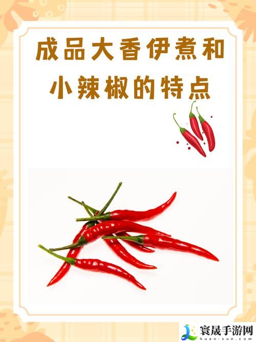 成品大香伊煮和小辣椒的使用方法