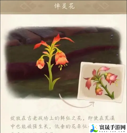 原神3.6悼灵花多久才能刷新一次-3.6悼灵花刷新时间机制分享