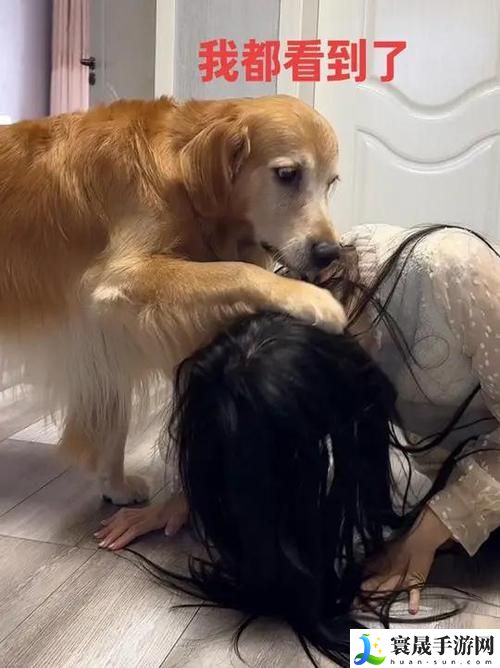 大狗锁住女人狗的视频大全