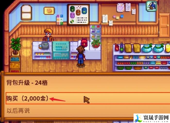 《星露谷物语》背包扩大方法