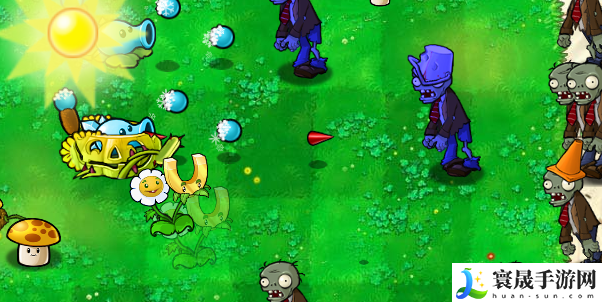 《植物大战僵尸杂交版》金盏吸金磁介绍