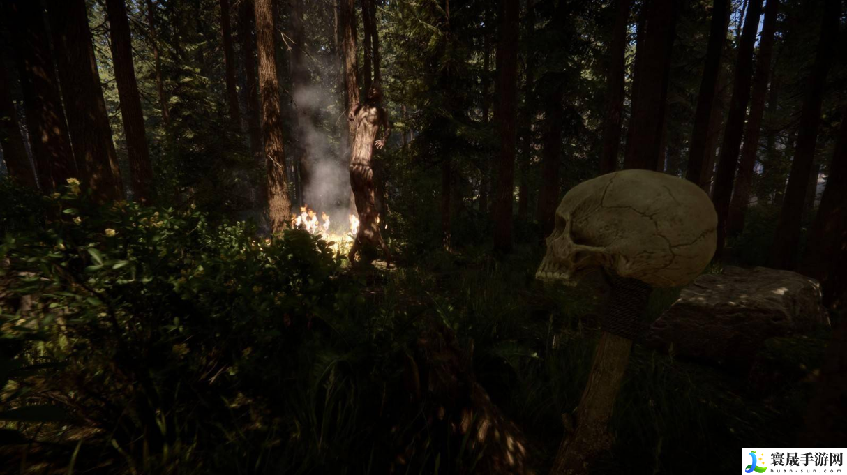 森林之子强壮值如何提升-强壮值提升方法分享